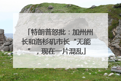特朗普怒批：加州州长和洛杉矶市长“无能”，现在一片混乱