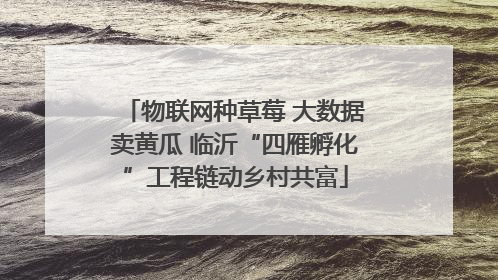 物联网种草莓 大数据卖黄瓜 临沂“四雁孵化”工程链动乡村共富