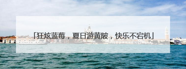 狂炫蓝莓，夏日游黄陂，快乐不宕机