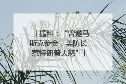 猛料：“曾邀马斯克参会，美防长惹特朗普大怒”