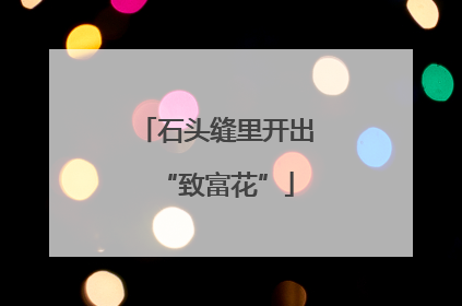 石头缝里开出“致富花”