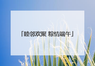 睦邻欢聚 粽情端午
