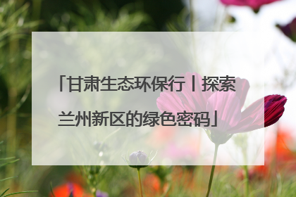 甘肃生态环保行丨探索兰州新区的绿色密码