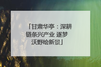 甘肃华亭：深耕链条兴产业 逐梦沃野绘新景
