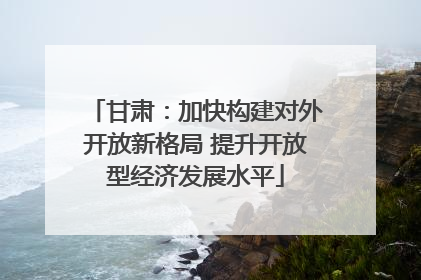 甘肃：加快构建对外开放新格局 提升开放型经济发展水平