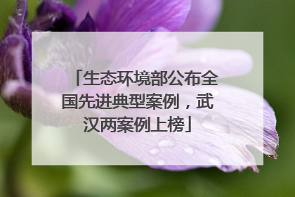 生态环境部公布全国先进典型案例，武汉两案例上榜