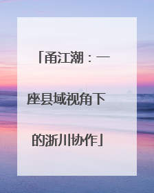 甬江潮：一座县域视角下的浙川协作