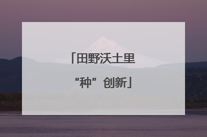 田野沃土里“种”创新