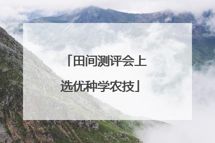 田间测评会上选优种学农技