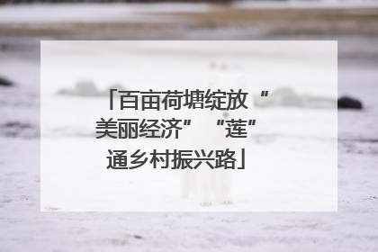 百亩荷塘绽放“美丽经济”“莲”通乡村振兴路