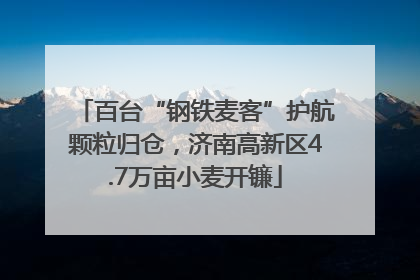 百台“钢铁麦客”护航颗粒归仓，济南高新区4.7万亩小麦开镰