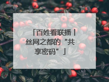 百姓看联播丨丝网之都的“共享密码”