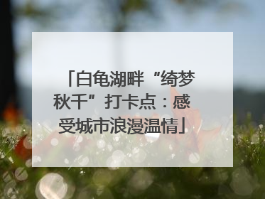 白龟湖畔“绮梦秋千”打卡点：感受城市浪漫温情