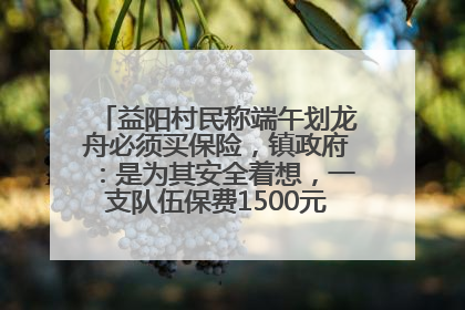 益阳村民称端午划龙舟必须买保险，镇政府：是为其安全着想，一支队伍保费1500元到2500元