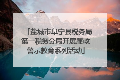 盐城市阜宁县税务局第一税务分局开展廉政警示教育系列活动