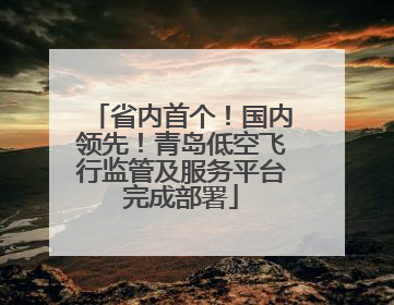 省内首个！国内领先！青岛低空飞行监管及服务平台完成部署