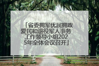 省委拥军优属拥政爱民和退役军人事务工作领导小组2025年全体会议召开