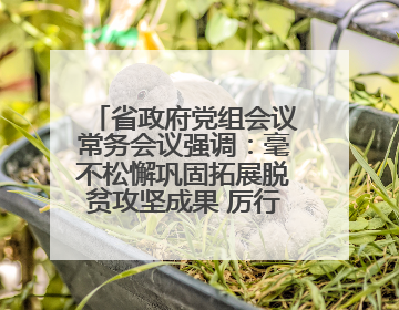 省政府党组会议常务会议强调：毫不松懈巩固拓展脱贫攻坚成果 厉行节约反对浪费弘扬优良作风