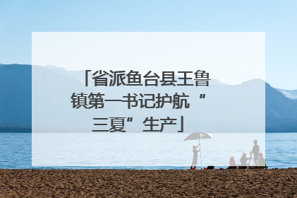 省派鱼台县王鲁镇第一书记护航“三夏”生产