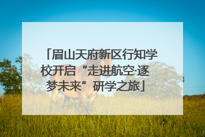 眉山天府新区行知学校开启“走进航空·逐梦未来”研学之旅