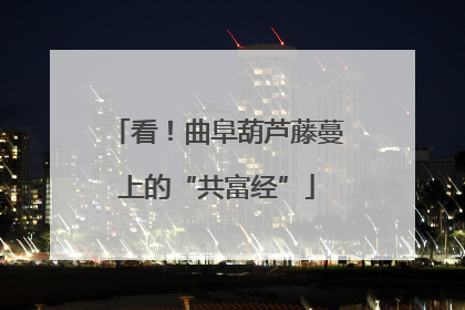 看！曲阜葫芦藤蔓上的“共富经”