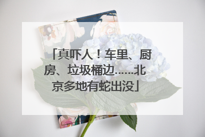 真吓人!车里、厨房、垃圾桶边……北京多地有蛇出没