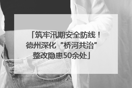 筑牢汛期安全防线！德州深化“桥河共治”整改隐患50余处
