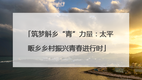 筑梦斛乡“青”力量：太平畈乡乡村振兴青春进行时