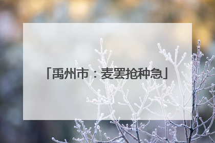 禹州市：麦罢抢种急
