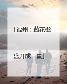 福州：蓝花楹盛开成一景