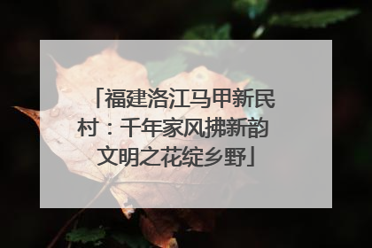 福建洛江马甲新民村：千年家风拂新韵 文明之花绽乡野