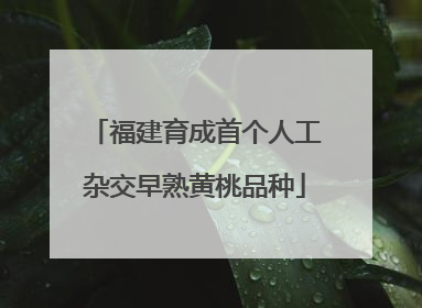 福建育成首个人工杂交早熟黄桃品种