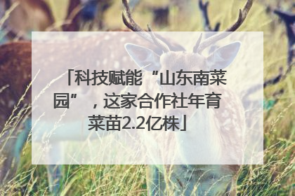 科技赋能“山东南菜园”，这家合作社年育菜苗2.2亿株