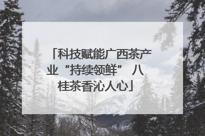 科技赋能广西茶产业“持续领鲜” 八桂茶香沁人心
