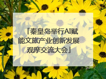 秦皇岛举行AI赋能文旅产业创新发展观摩交流大会
