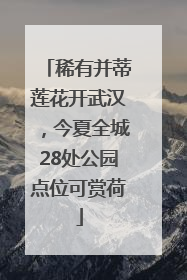 稀有并蒂莲花开武汉，今夏全城28处公园点位可赏荷