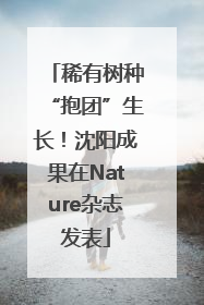 稀有树种“抱团”生长！沈阳成果在Nature杂志发表
