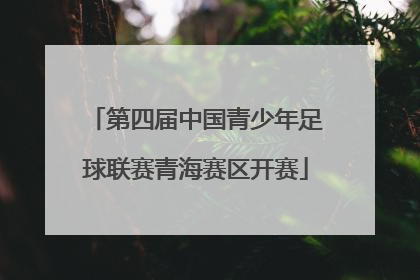第四届中国青少年足球联赛青海赛区开赛