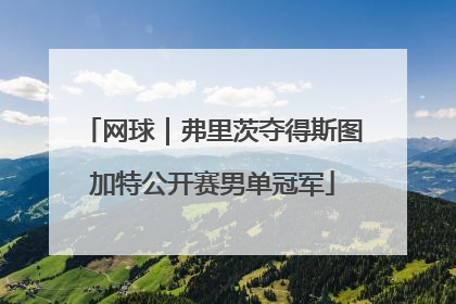 网球｜弗里茨夺得斯图加特公开赛男单冠军