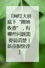 网红大桥底下“圈地收费”，有哪些问题需要说清楚｜新京报快评