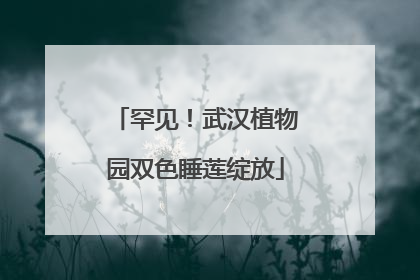罕见！武汉植物园双色睡莲绽放