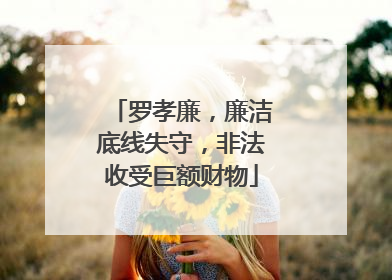 罗孝廉，廉洁底线失守，非法收受巨额财物