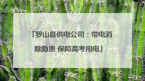罗山县供电公司：带电消除隐患 保障高考用电