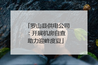 罗山县供电公司：开展机房自查 助力迎峰度夏
