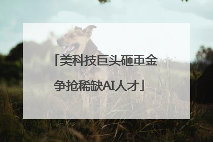 美科技巨头砸重金争抢稀缺AI人才