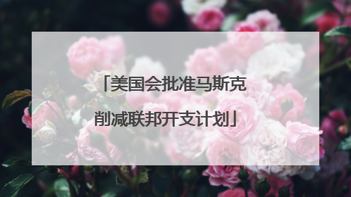 美国会批准马斯克削减联邦开支计划