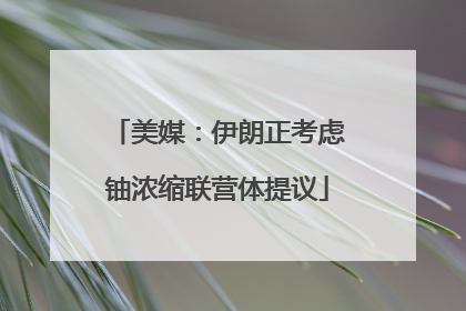 美媒：伊朗正考虑铀浓缩联营体提议