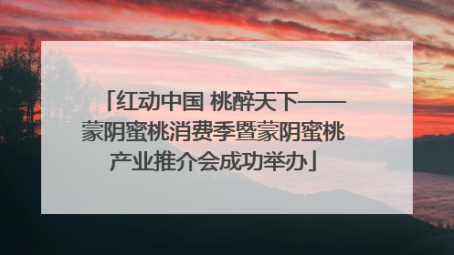 红动中国 桃醉天下——蒙阴蜜桃消费季暨蒙阴蜜桃产业推介会成功举办