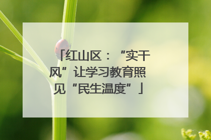 红山区：“实干风”让学习教育照见“民生温度”