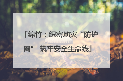 绵竹：织密地灾“防护网” 筑牢安全生命线